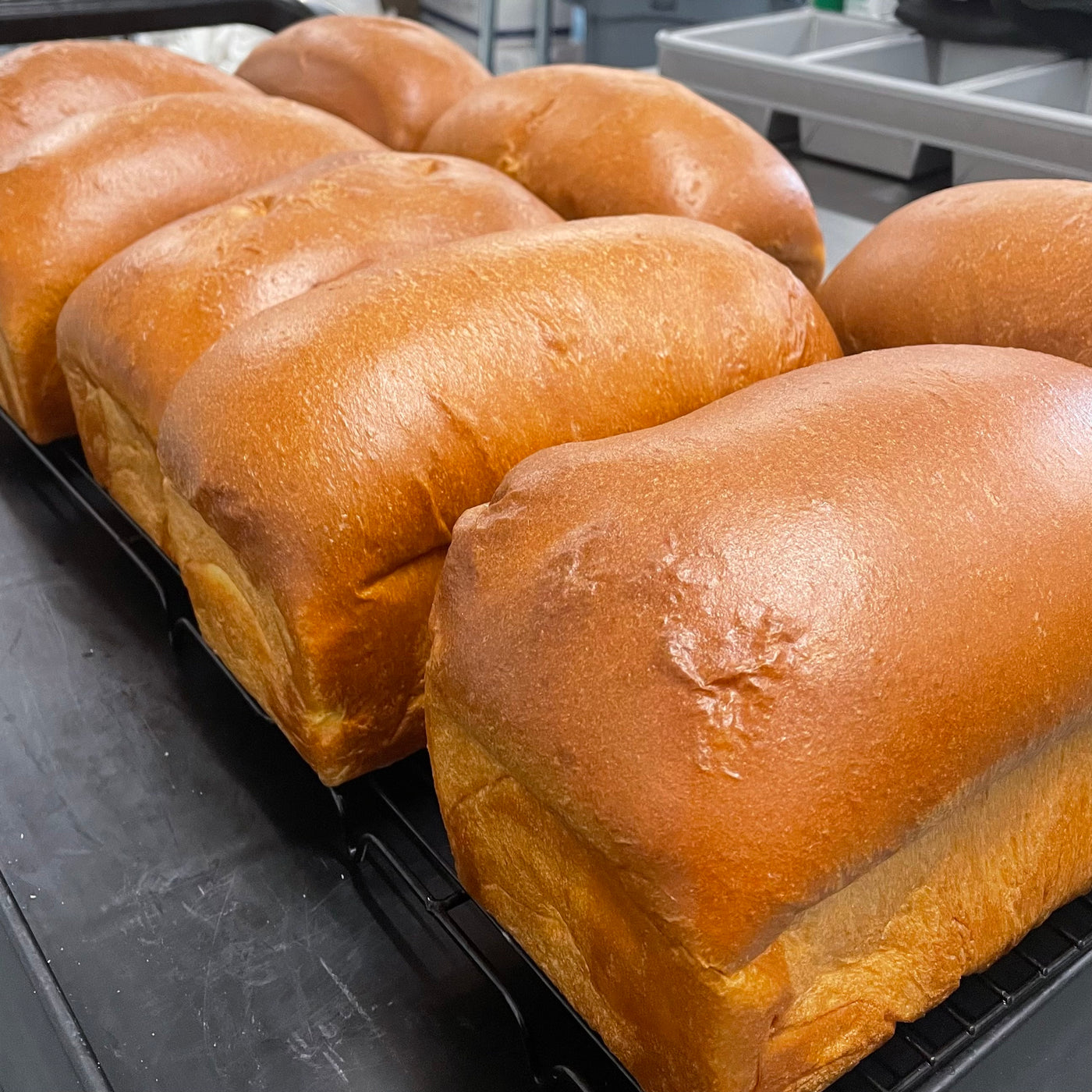 Brioche Bread Loaf